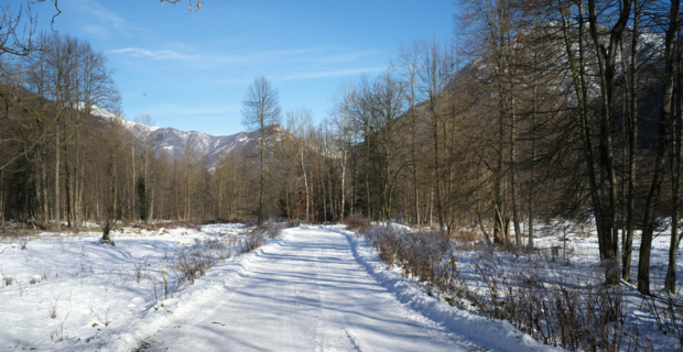 En cette magnifique journée d’hiver, sous un ciel bleu azur, on peut voir au loin des montagnes couvertes de neige. Un sentier de neige aménagé dans la forêt vous attend, vous et votre VTT!