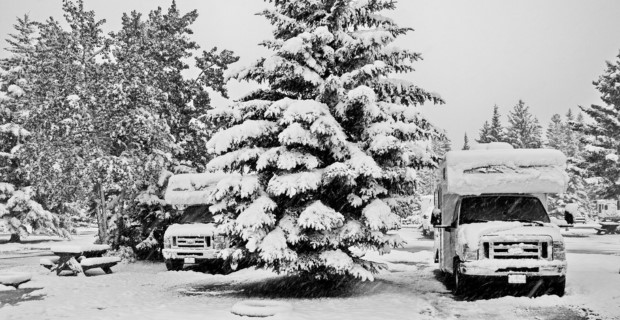 Deux VR sont garés à côté de conifères enneigés pendant qu’il neige.
