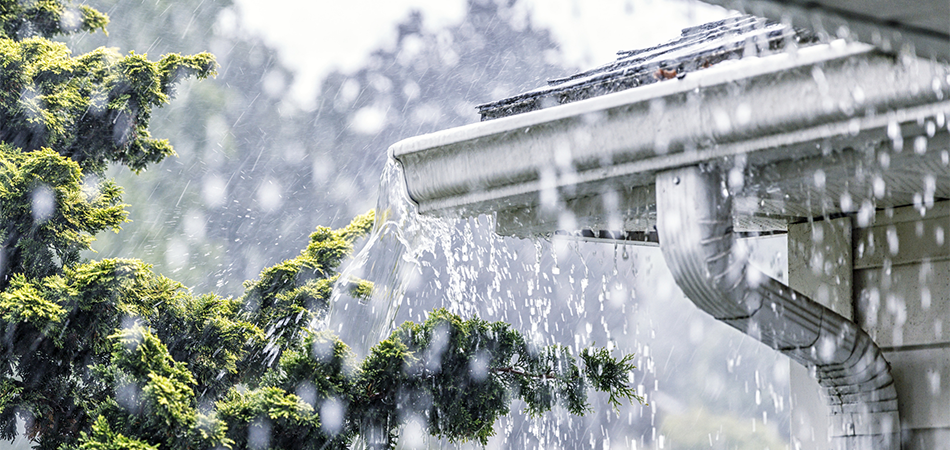 De fortes pluies provoquent des débordements d’eau provenant des gouttières d’une maison, qui tombent en cascade du toit et trempent le feuillage à proximité.