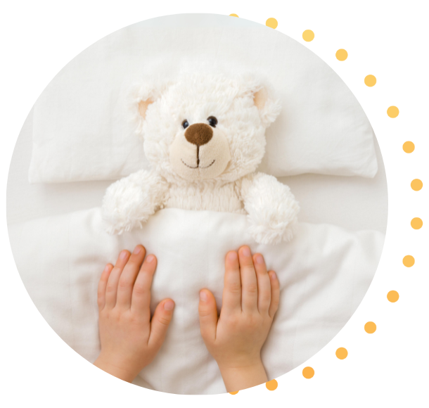 ourson en peluche 
