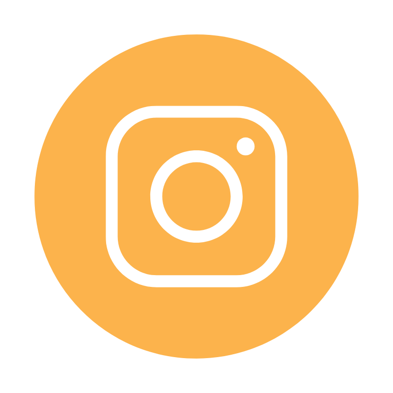 Instagram Icon