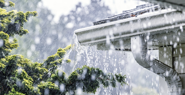 De fortes pluies provoquent des débordements d’eau provenant des gouttières d’une maison, qui tombent en cascade du toit et trempent le feuillage à proximité.